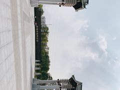 -王借岗森林公园