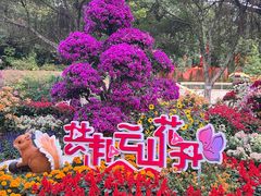 -广州市白云山风景名胜区