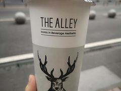 -THE ALLEY 鹿角巷(时代天街A馆店)
