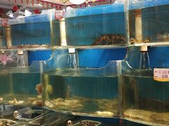 -大城·烧烤海鲜大排档(台东店)
