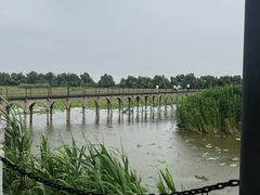 -洪湖生态旅游区