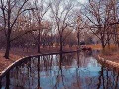 -上海共青森林公园