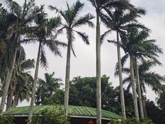 -侯臣咖啡文化村