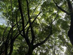 -重庆平顶山公园
