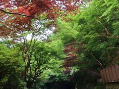-三千院