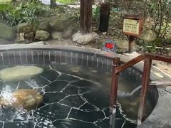 -明月山天沐温泉度假村