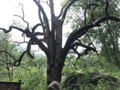 -北京密云天门山风景区