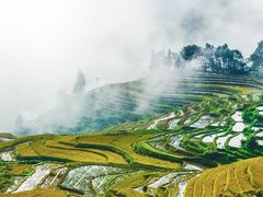 -大理洱海