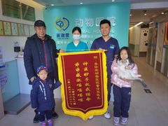 -美迦爱-牙专科·兔科·骨科诊疗中心(北苑店)