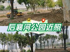-后襄河公园