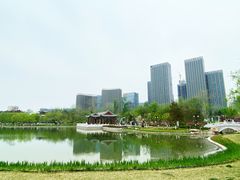 -西海子公园