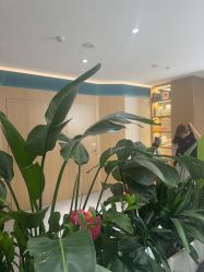 -LIHER北京丽合医疗美容医院