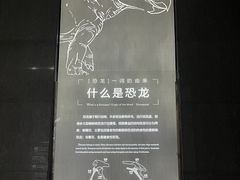 -中国西峡恐龙遗迹园