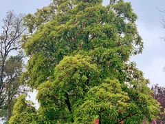 -云龙湖旅游景区