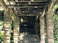 -南山植物园