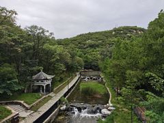 -白水寺森林公园