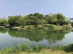 -尚贤河湿地