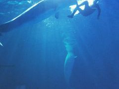 -多彩贵州城极地海洋世界