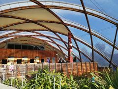 -怀托摩萤火虫洞