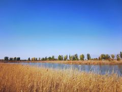 -野鸭湖国家湿地公园