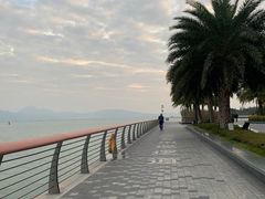 -深圳湾公园(南山区)