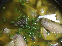 -呼吸森林·生态农庄农家乐私房菜