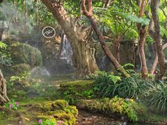 -Chom Cafe and Restaurant