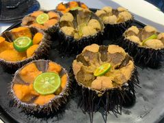 -海胆小馆(东北水饺·春柳店)