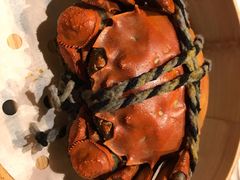 -上海外滩英迪格酒店