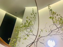 -LB·海菲秀牛奶光官方体验中心