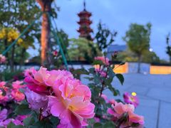 -龙华寺