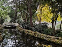 -成都市活水公园