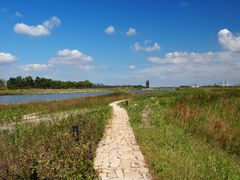 -春花秋色城市公园