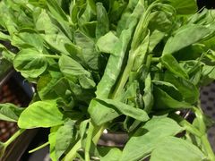 -云尊府云南菜·蒸汽石锅鱼(学清路店)