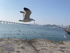-星海广场