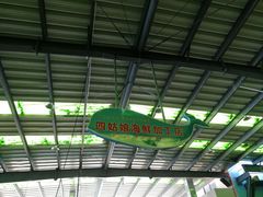 大堂-四姑娘川味海鲜(八爪鱼店)