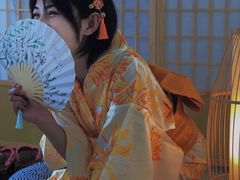 -柴犬小屋·柴餐厅·狗咖食堂(金鼎广场店)