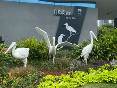 -深圳湾公园(南山区)