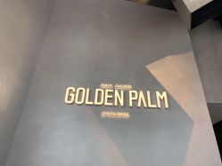 点击看大图 -金棕榈