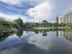 -四海公园(南山区)