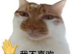 -麦德龙(嘉定店)