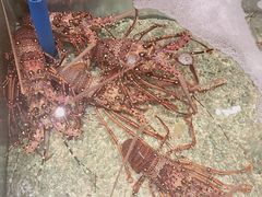 -Isla Sugbu Seafood City