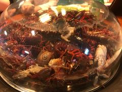 -蟹谢蒸鲜自助餐厅