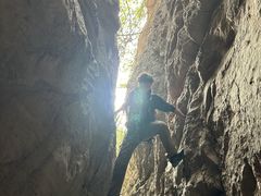 -泰山风景名胜区-普照寺