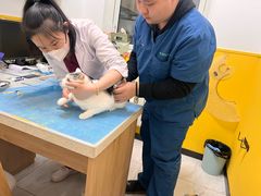 -瑞派·爱瑞可动物医院·口腔专科(广华新城分院)