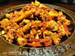 -天山醉美辣子鸡(文艺路店)