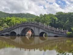 -桃源春晓中餐厅 TaoYuan Restaurant