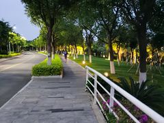 -厦门国家会计学院