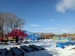 -大兴滨河森林公园