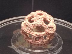 -鸿山遗址博物馆